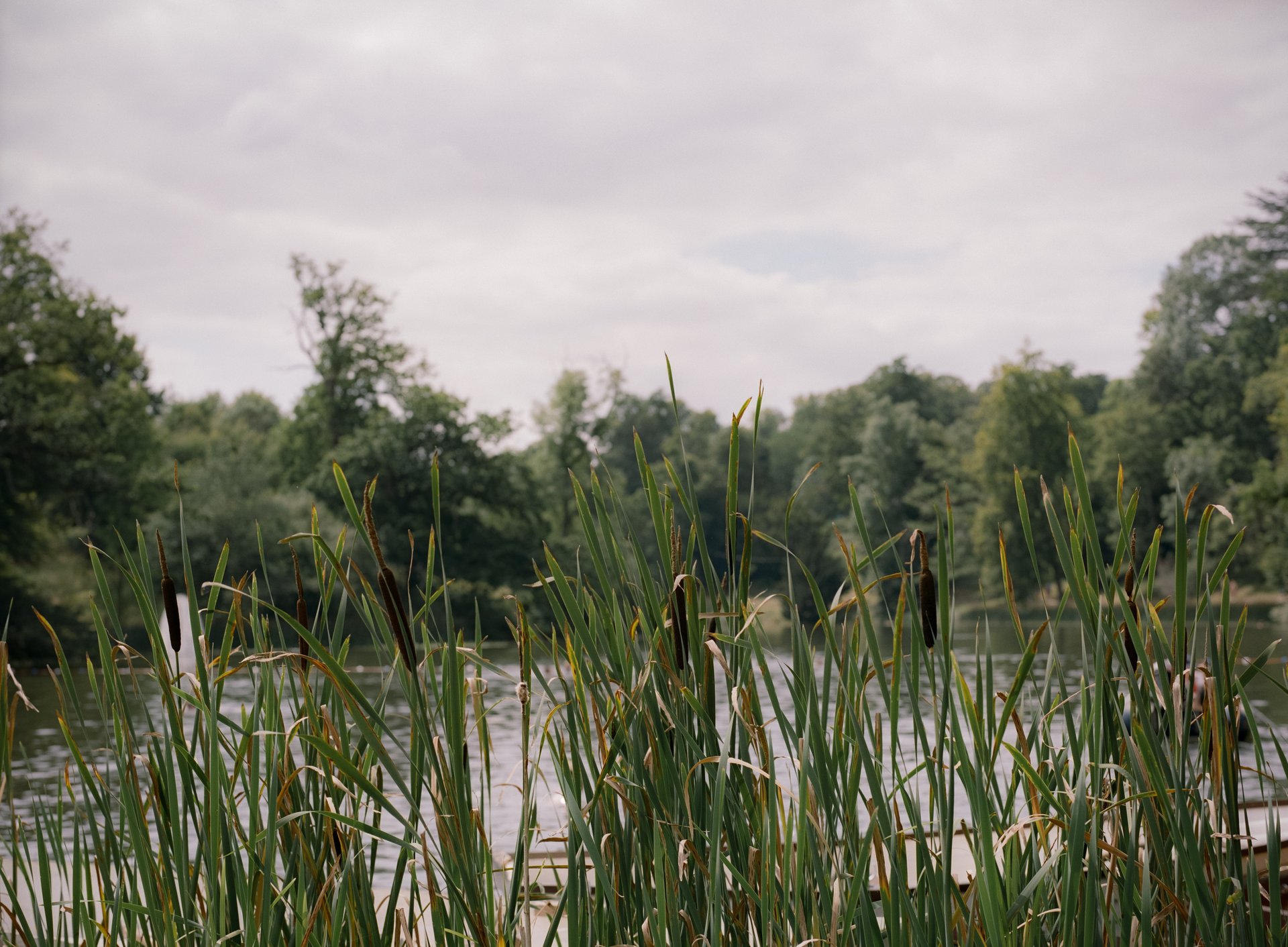 Jenna Foxton - Wilderness-2019-JF-15 (1)